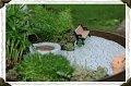 Pond1