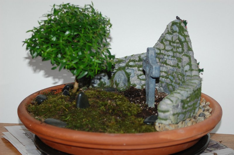 DSC_0028.JPG