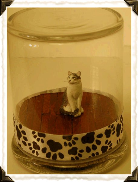 kittyinglass.gif